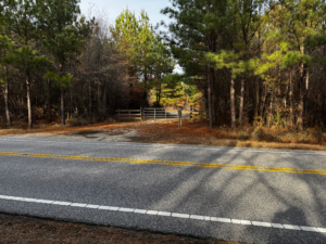 View across Sledge road from the tip of the property.